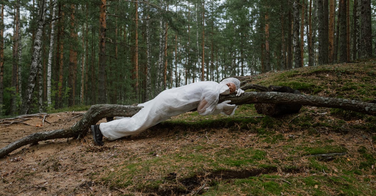 d&eacute;couvrez des actions concr&egrave;tes et des solutions innovantes pour la protection du climat. engagez-vous pour un avenir durable et la pr&eacute;servation de notre plan&egrave;te.