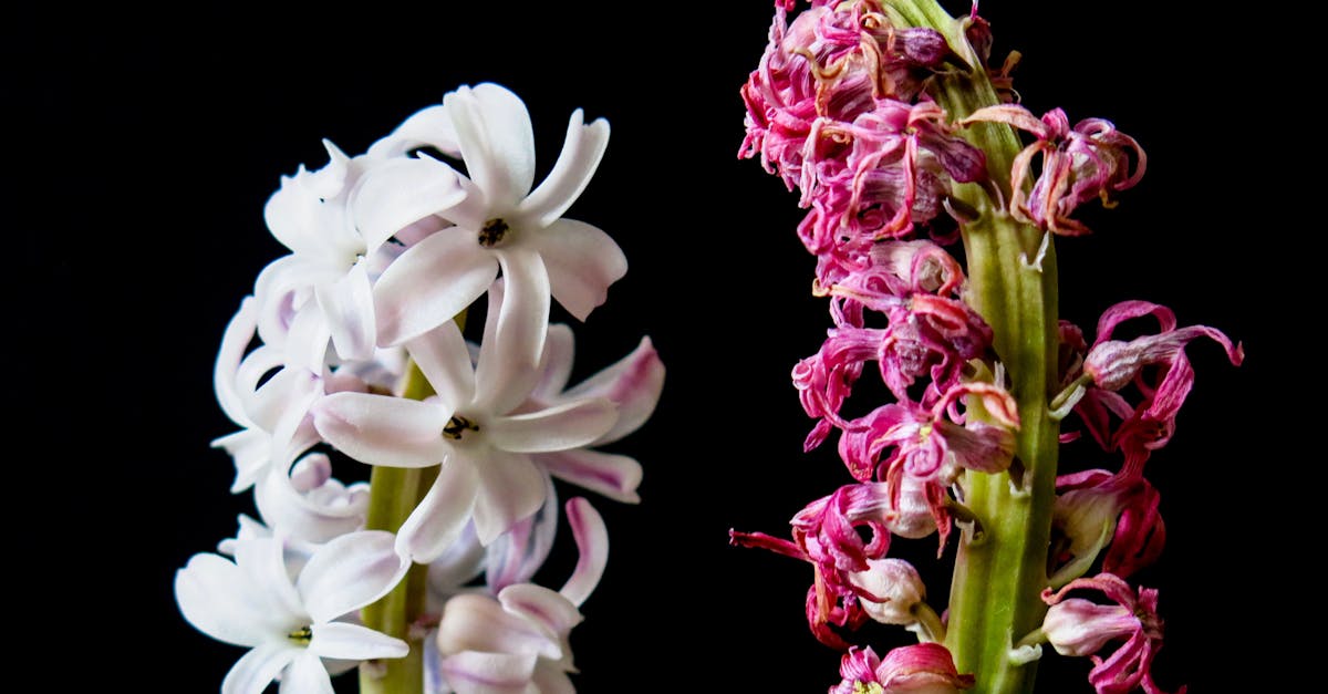 d&eacute;couvrez les enjeux et les solutions de la transition &eacute;cologique pour un avenir durable et respectueux de l'environnement.