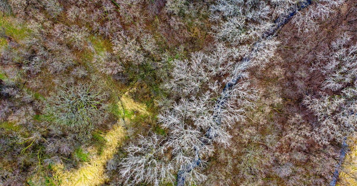 d&eacute;couvrez les enjeux et solutions de la transition &eacute;cologique pour un avenir durable et respectueux de l'environnement.