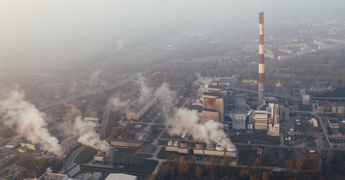 d&eacute;couvrez les principaux d&eacute;fis environnementaux actuels, leurs impacts sur la plan&egrave;te et les solutions pour un avenir durable.