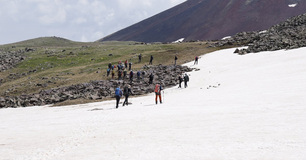d&eacute;couvrez les principaux d&eacute;fis environnementaux actuels et les solutions pour pr&eacute;server notre plan&egrave;te face au changement climatique, &agrave; la pollution et &agrave; la perte de biodiversit&eacute;.