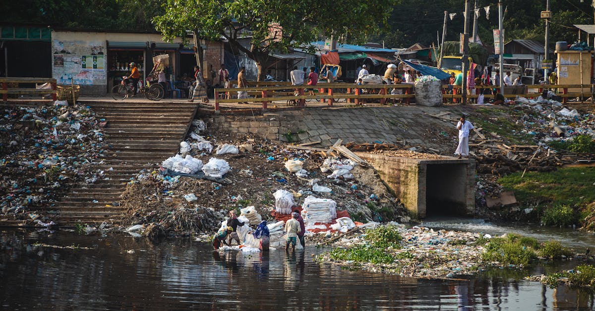d&eacute;couvrez les principaux d&eacute;fis environnementaux actuels et les solutions pour prot&eacute;ger notre plan&egrave;te et assurer un d&eacute;veloppement durable.