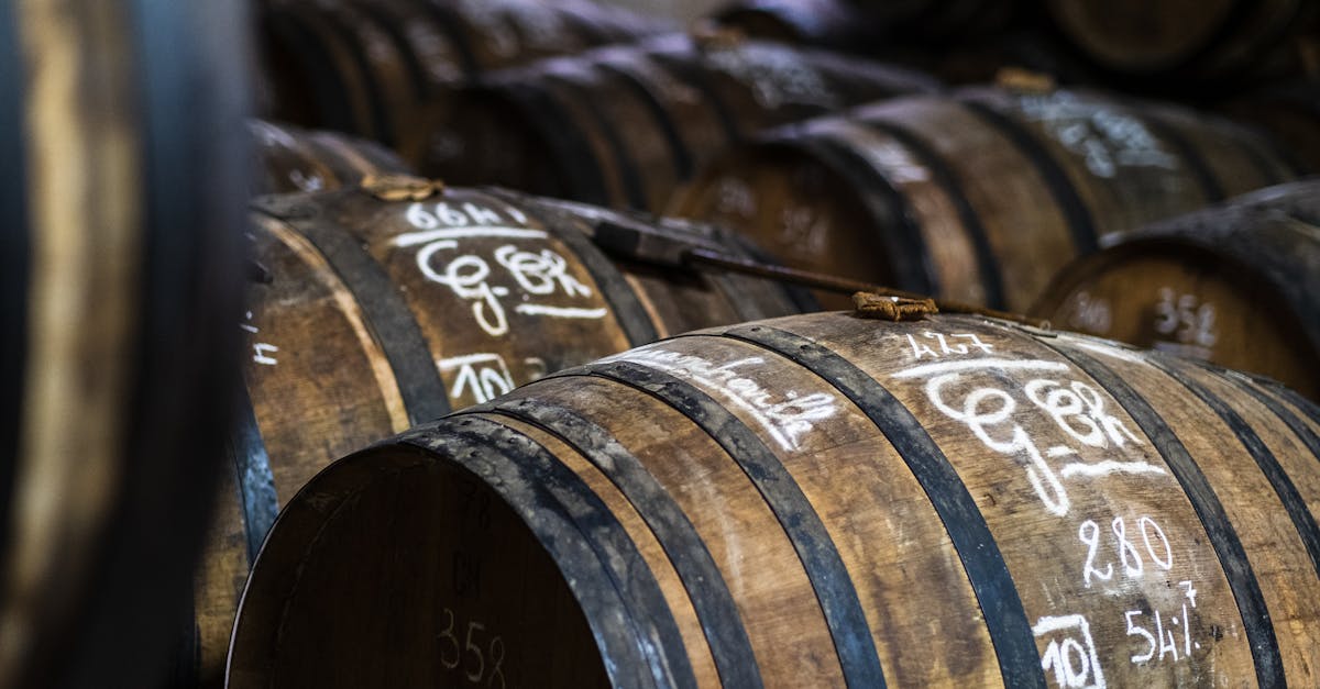 d&eacute;couvrez les vignobles fran&ccedil;ais : un voyage au c&oelig;ur des terroirs prestigieux, avec des vins d'exception et des paysages pittoresques &agrave; savourer.