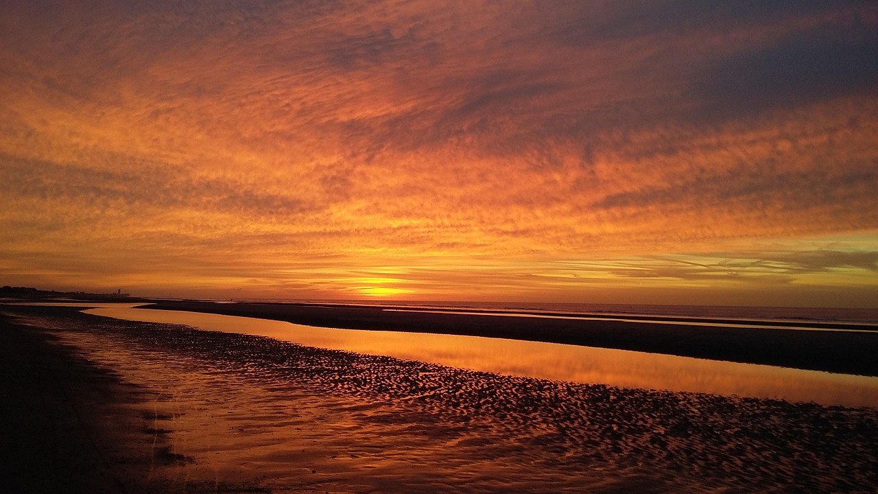 Les avantages insoup&ccedil;onn&eacute;s de la v&eacute;g&eacute;talisation urbaine