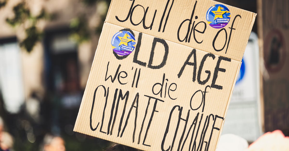 d&eacute;couvrez les initiatives mondiales pour lutter contre le changement climatique et promouvoir un avenir durable gr&acirc;ce &agrave; l'action climatique globale.