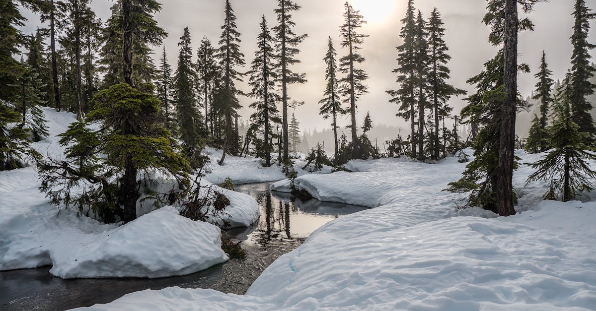 d&eacute;couvrez ce qu'est le greenwashing, une pratique marketing trompeuse o&ugrave; les entreprises pr&eacute;tendent &ecirc;tre &eacute;coresponsables sans preuves concr&egrave;tes, et apprenez &agrave; reconna&icirc;tre ses signes.