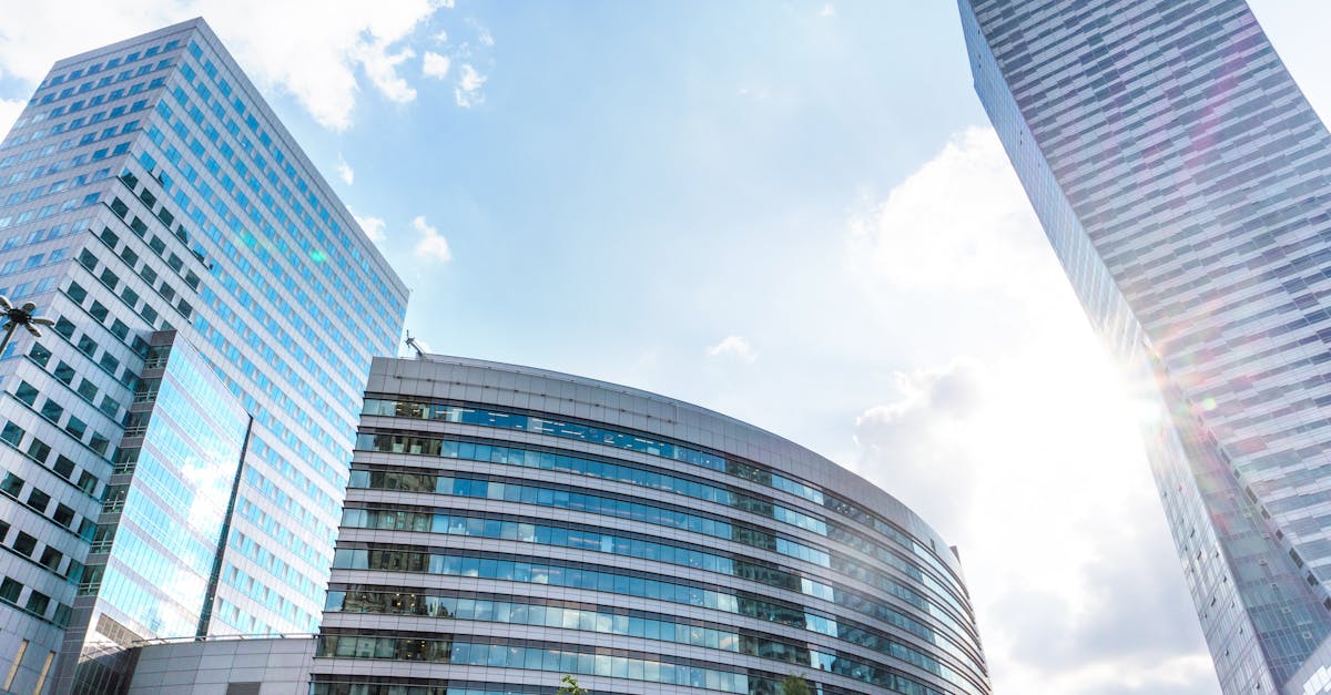 d&eacute;couvrez ce qu'est le greenwashing, ses techniques et ses impacts sur l'environnement, afin de mieux reconna&icirc;tre les pratiques trompeuses des entreprises en mati&egrave;re de d&eacute;veloppement durable.