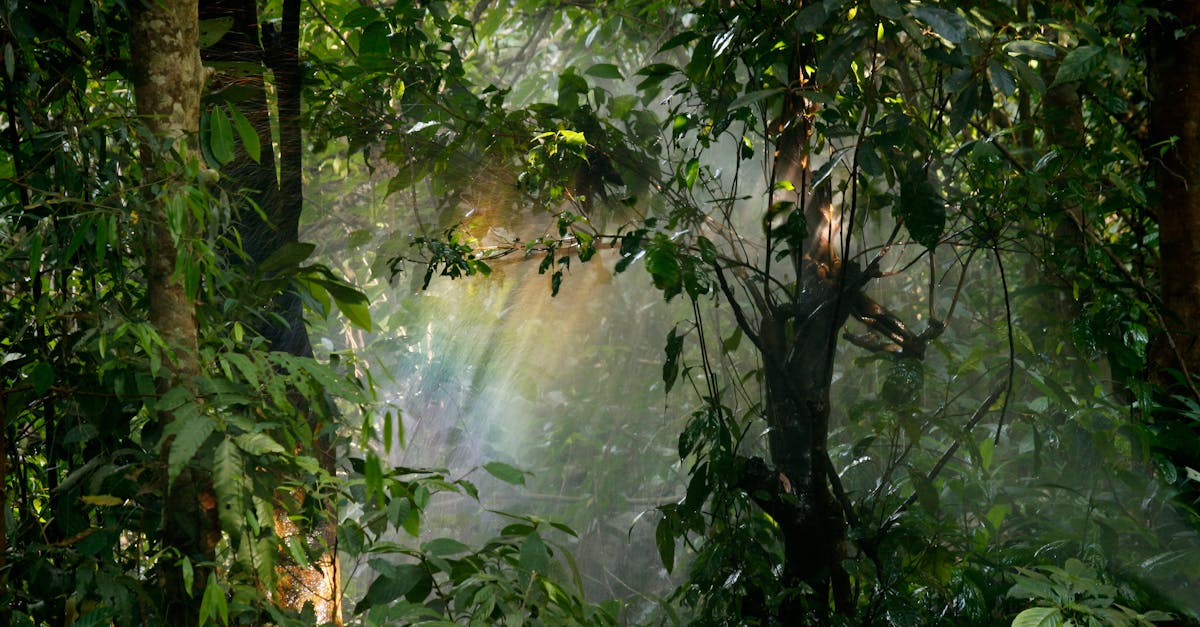 d&eacute;couvrez ce qu'est le greenwashing, ses techniques trompeuses et comment identifier les v&eacute;ritables engagements environnementaux des entreprises.