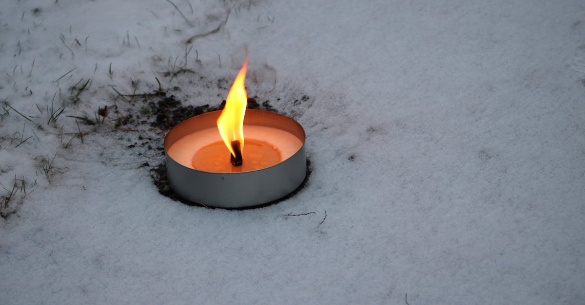 d&eacute;couvrez les records de chaleur historiques &agrave; travers le monde et comprenez leur impact sur l'environnement et la soci&eacute;t&eacute;.