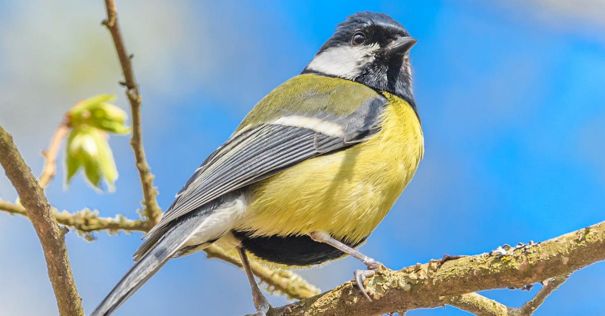 d&eacute;couvrez les principaux d&eacute;fis environnementaux de 2021, incluant le changement climatique, la perte de biodiversit&eacute; et la pollution, et les solutions pour un avenir durable.