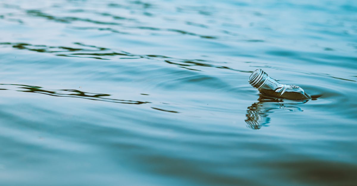 d&eacute;couvrez les principaux d&eacute;fis environnementaux de 2021 et leurs impacts globaux, ainsi que les solutions pour un avenir durable.