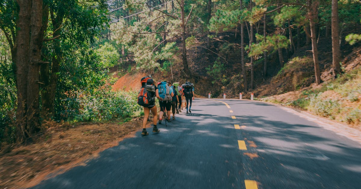 d&eacute;couvrez les principaux d&eacute;fis environnementaux rencontr&eacute;s en 2021, leurs impacts globaux et les solutions propos&eacute;es pour un avenir durable.
