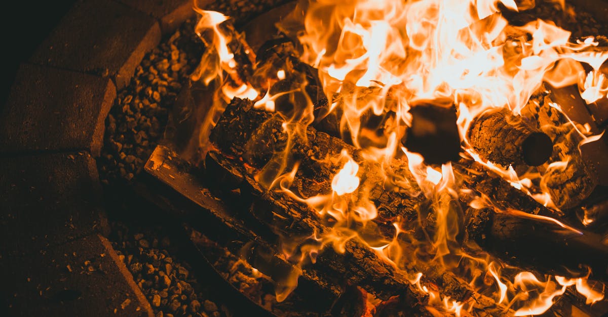 d&eacute;couvrez les principes fondamentaux de la tectonique, l'&eacute;tude des mouvements et d&eacute;formations de la lithosph&egrave;re terrestre qui fa&ccedil;onnent notre plan&egrave;te.