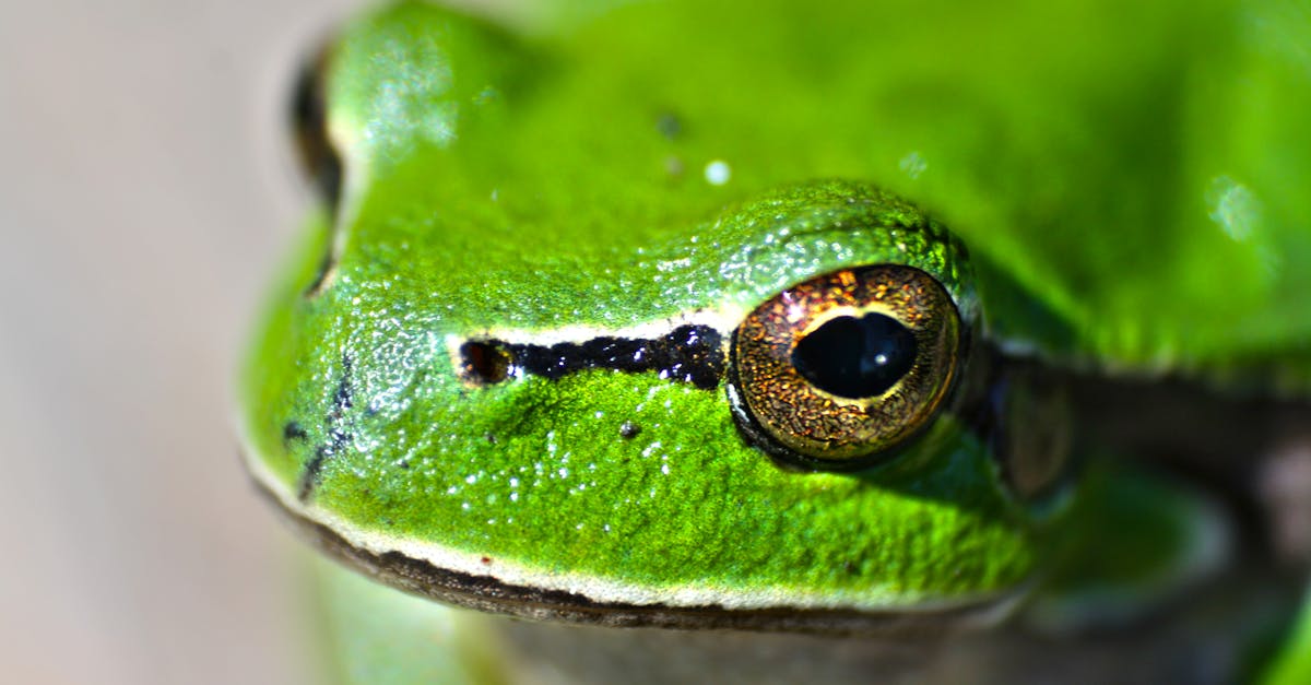d&eacute;couvrez les sciences comportementales, une discipline qui &eacute;tudie les comportements humains et animaux pour mieux comprendre leurs motivations et interactions.