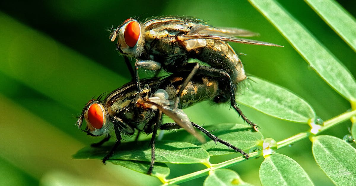 explorez les sciences comportementales pour comprendre les comportements humains, les motivations et les interactions sociales &agrave; travers des approches interdisciplinaires.