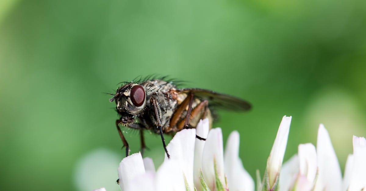 d&eacute;couvrez les sciences comportementales, une discipline qui &eacute;tudie les comportements humains et les processus mentaux pour mieux comprendre les interactions sociales et individuelles.
