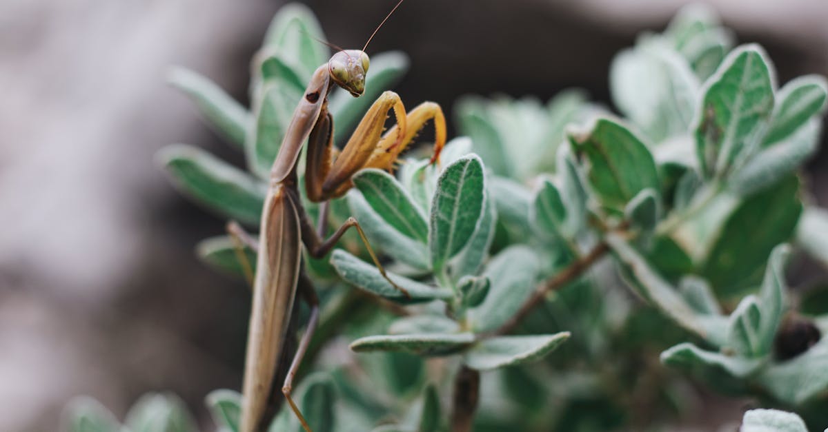 d&eacute;couvrez les sciences comportementales, une discipline qui &eacute;tudie les actions, les interactions et les motivations humaines pour mieux comprendre et am&eacute;liorer les comportements individuels et sociaux.