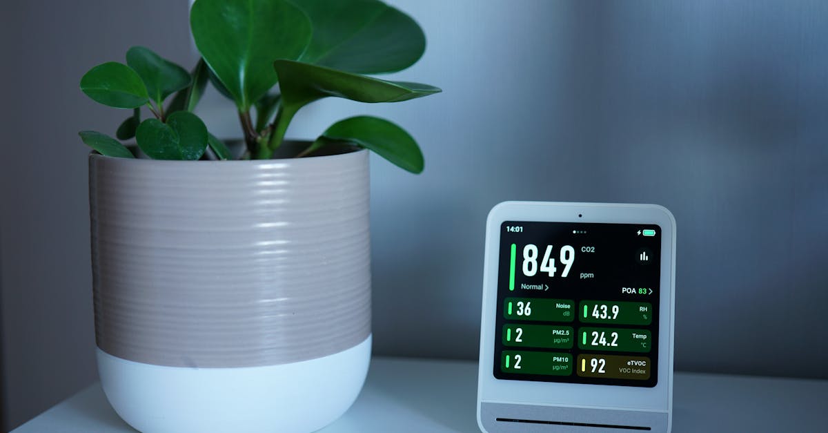 d&eacute;couvrez les politiques sur le climat et la qualit&eacute; de l'air visant &agrave; prot&eacute;ger l'environnement et am&eacute;liorer la sant&eacute; publique.