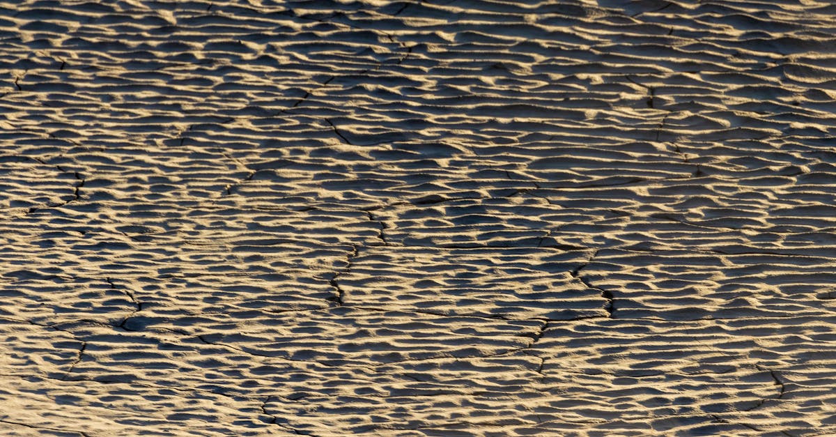 d&eacute;couvrez les causes, les impacts et les solutions au changement climatique pour mieux comprendre et agir face &agrave; ce d&eacute;fi mondial.