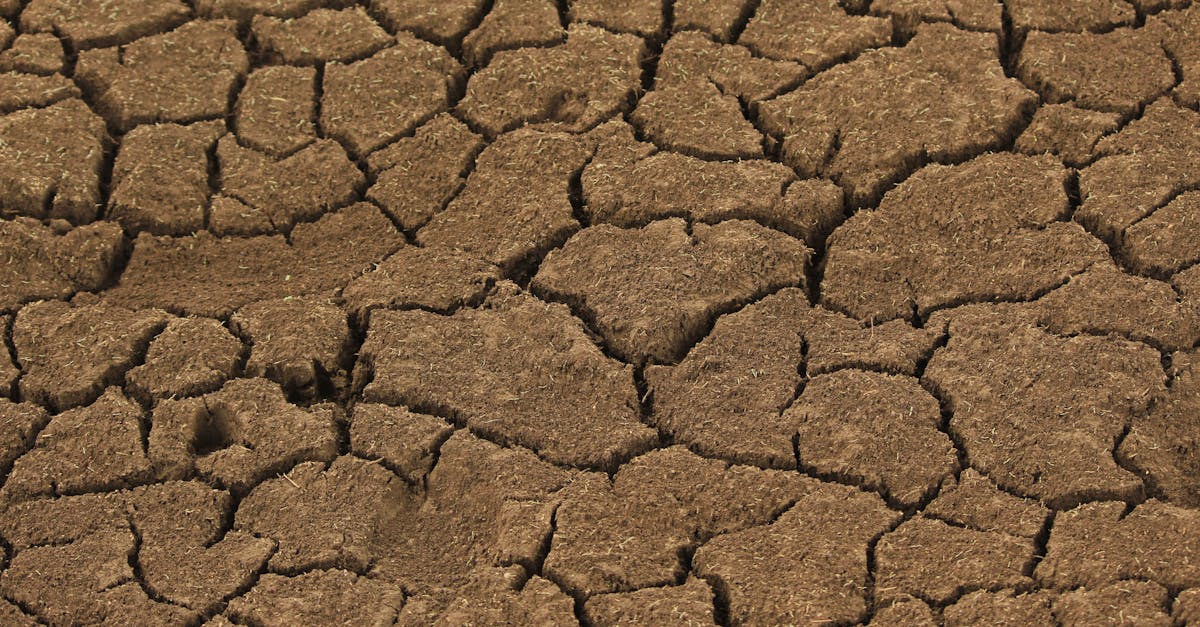 d&eacute;couvrez les impacts du changement climatique, ses causes et les solutions pour pr&eacute;server notre plan&egrave;te face aux d&eacute;fis environnementaux actuels.