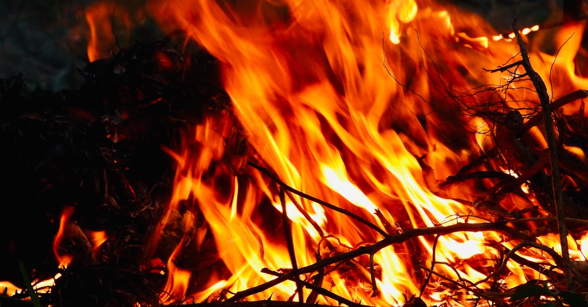 découvrez les effets du changement climatique sur notre planète, les enjeux environnementaux et les actions à entreprendre pour un avenir durable.