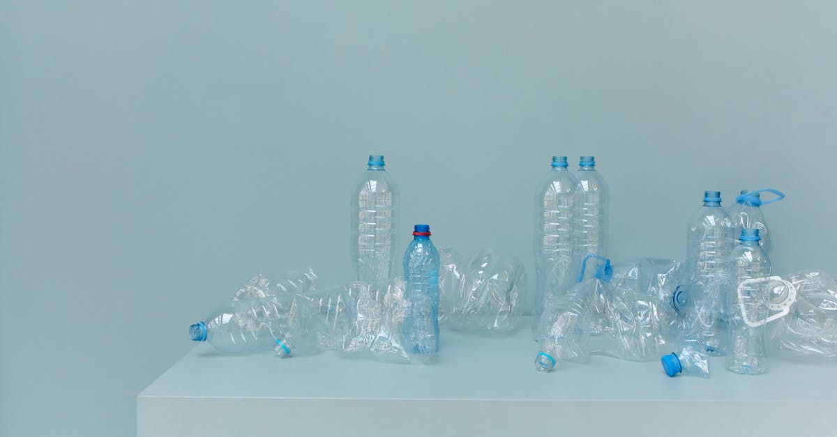 d&eacute;couvrez des ressources compl&egrave;tes sur le changement climatique pour mieux comprendre ses impacts et agir pour l'environnement.