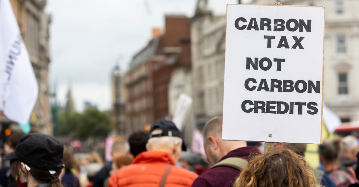 d&eacute;couvrez les politiques climatiques actuelles visant &agrave; lutter contre le changement climatique et &agrave; promouvoir un d&eacute;veloppement durable.