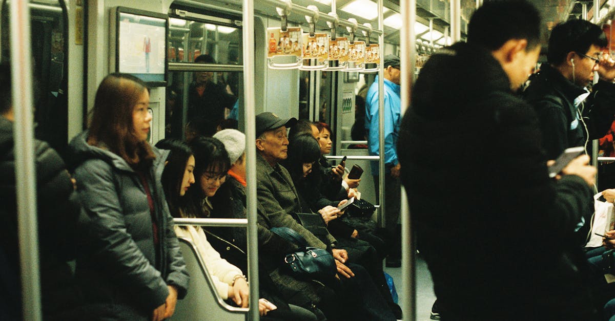 d&eacute;couvrez les enjeux et solutions de la transition &eacute;cologique pour un avenir durable et respectueux de l'environnement.