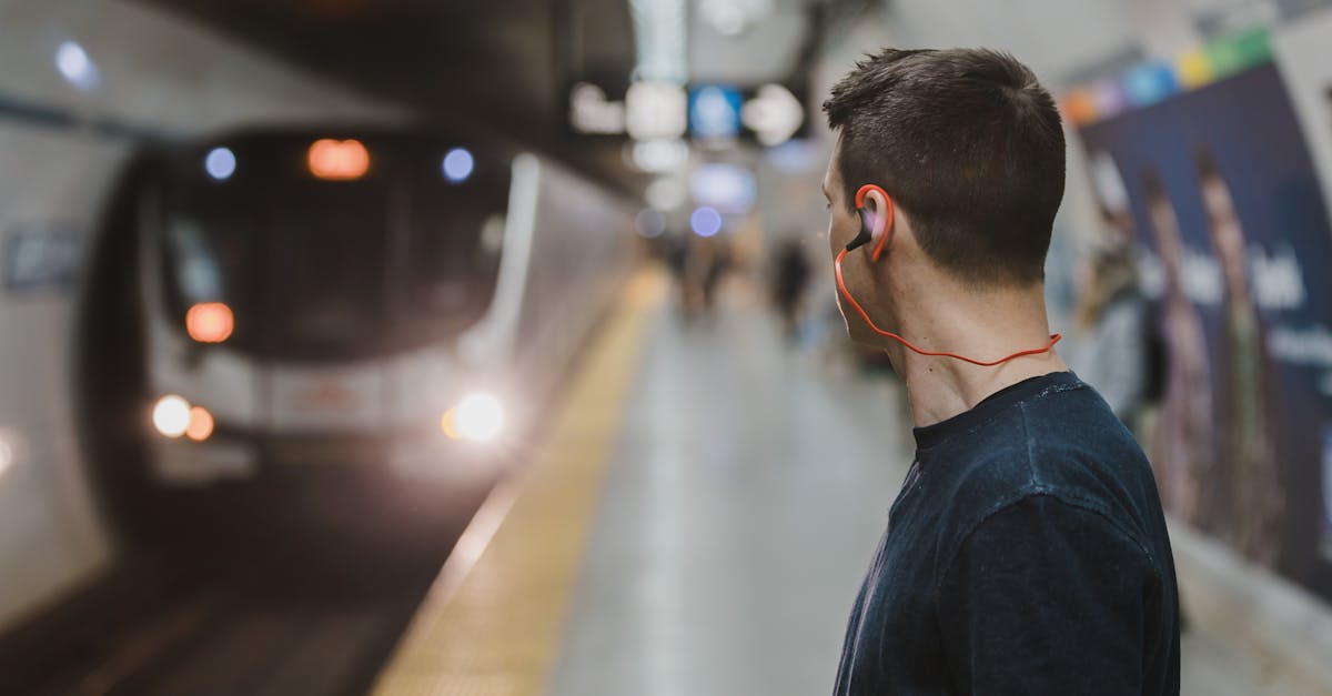 découvrez les enjeux et solutions de la transition écologique pour un avenir durable, alliant protection de l'environnement et développement responsable.