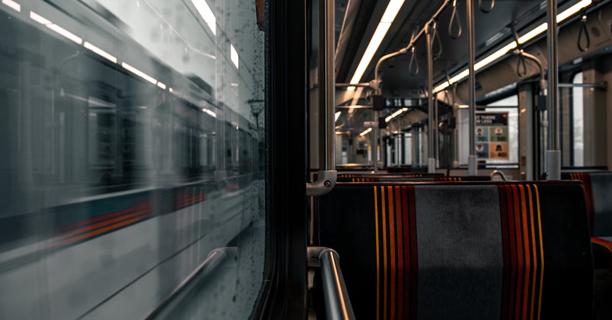 découvrez les enjeux et solutions de la transition écologique pour un avenir durable et respectueux de l'environnement.