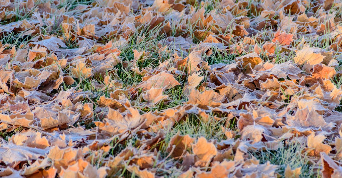 d&eacute;couvrez les enjeux et les solutions de la transition &eacute;cologique pour pr&eacute;server l'environnement et assurer un d&eacute;veloppement durable.