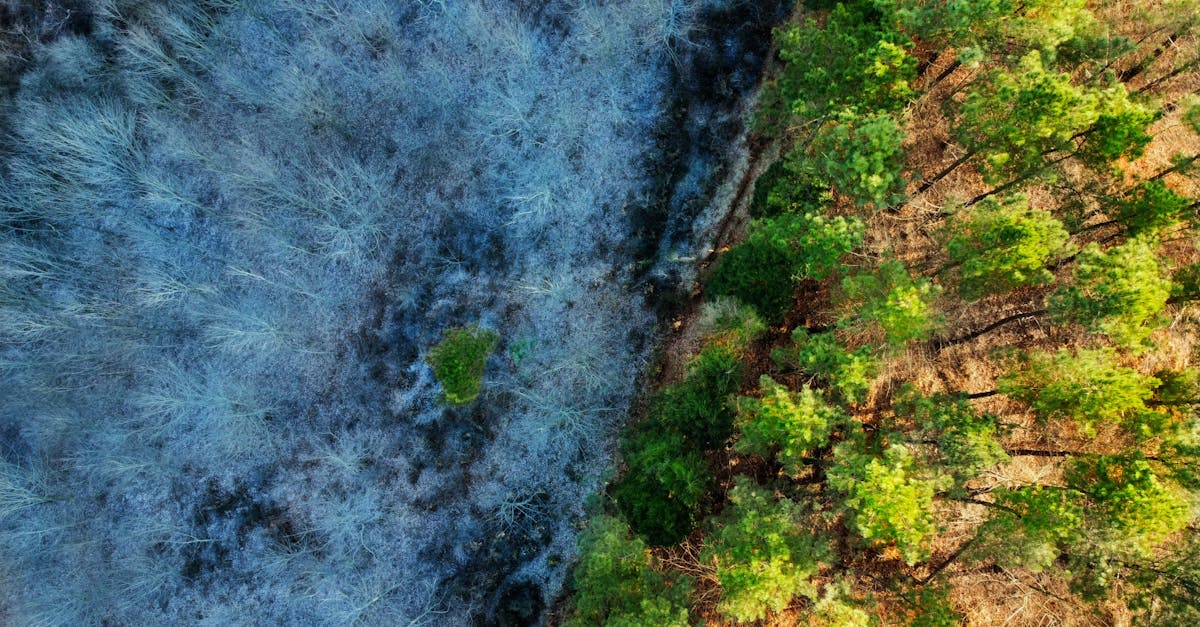 découvrez les enjeux et les solutions de la transition écologique pour un avenir durable et respectueux de l'environnement.