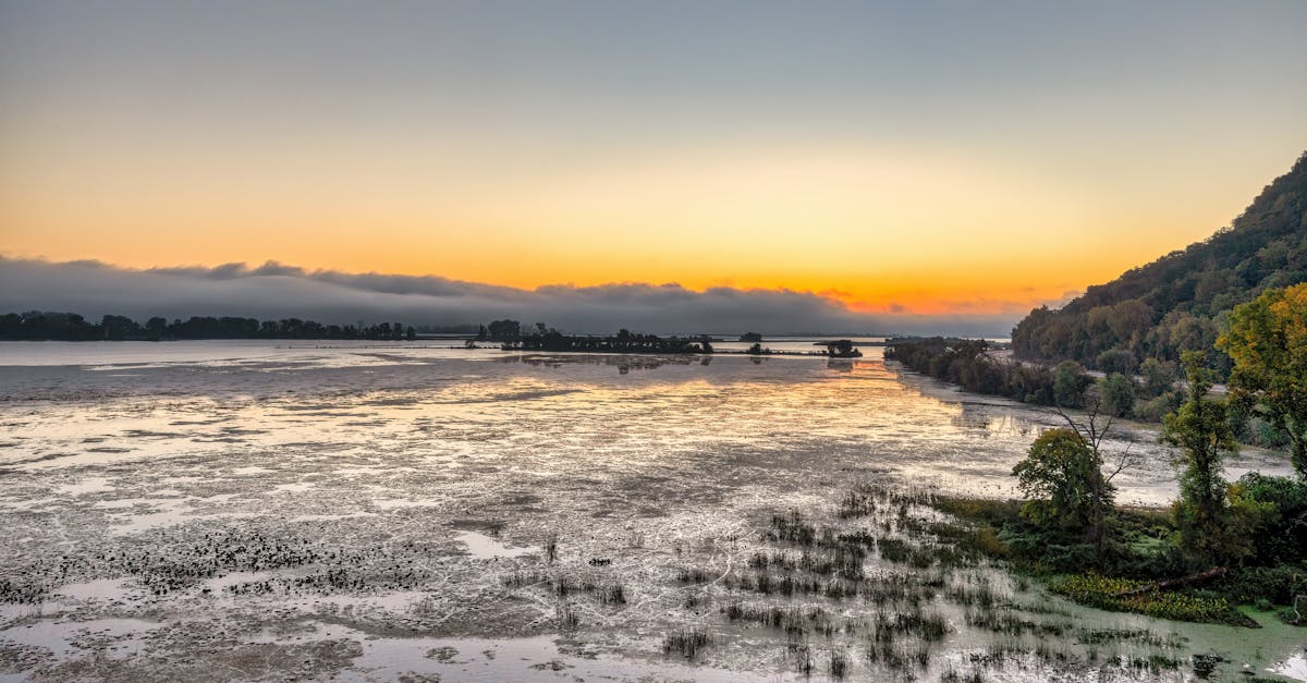 découvrez les enjeux et solutions de la transition écologique pour un avenir durable et respectueux de l'environnement.