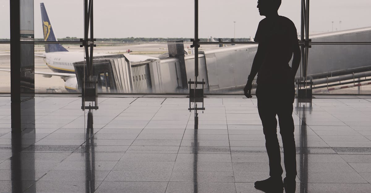 d&eacute;couvrez tout sur el ni&ntilde;o, le ph&eacute;nom&egrave;ne climatique qui influence le climat mondial, ses causes, ses effets et ses impacts environnementaux.