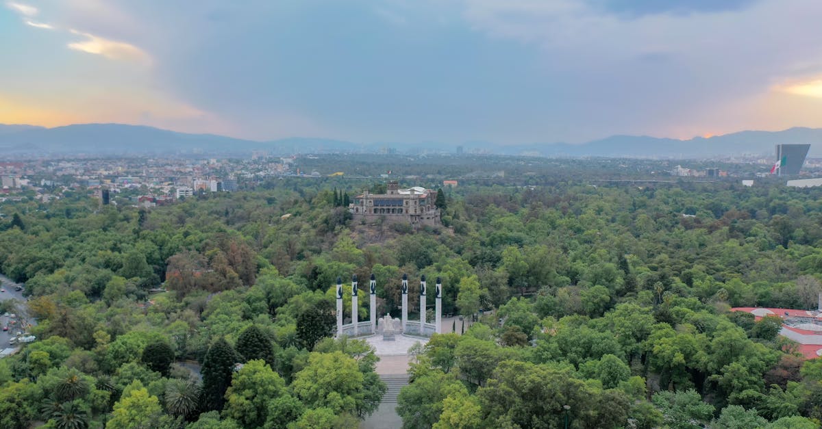 d&eacute;couvrez tout sur el ni&ntilde;o, le ph&eacute;nom&egrave;ne climatique influen&ccedil;ant le temps mondial, ses causes, ses effets et son impact sur l'environnement.