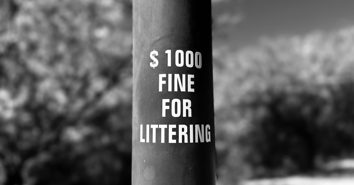 d&eacute;couvrez les politiques environnementales visant &agrave; prot&eacute;ger la nature, r&eacute;duire l'empreinte carbone et promouvoir le d&eacute;veloppement durable pour un avenir plus vert.