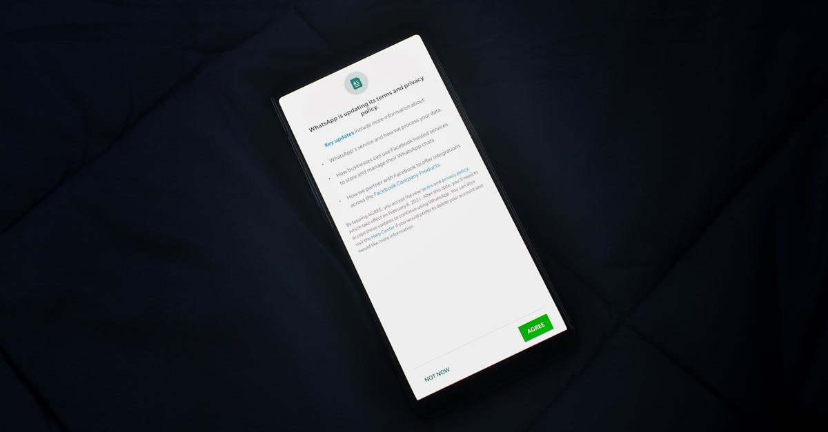 d&eacute;couvrez les politiques environnementales visant &agrave; prot&eacute;ger la nature, r&eacute;duire les &eacute;missions de carbone et promouvoir le d&eacute;veloppement durable pour un avenir plus vert.