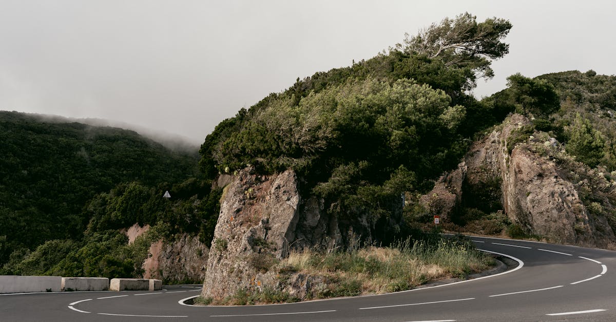 d&eacute;couvrez les causes et les cons&eacute;quences du d&eacute;clin des for&ecirc;ts, ainsi que les actions possibles pour pr&eacute;server ces &eacute;cosyst&egrave;mes essentiels &agrave; la biodiversit&eacute; et au climat.