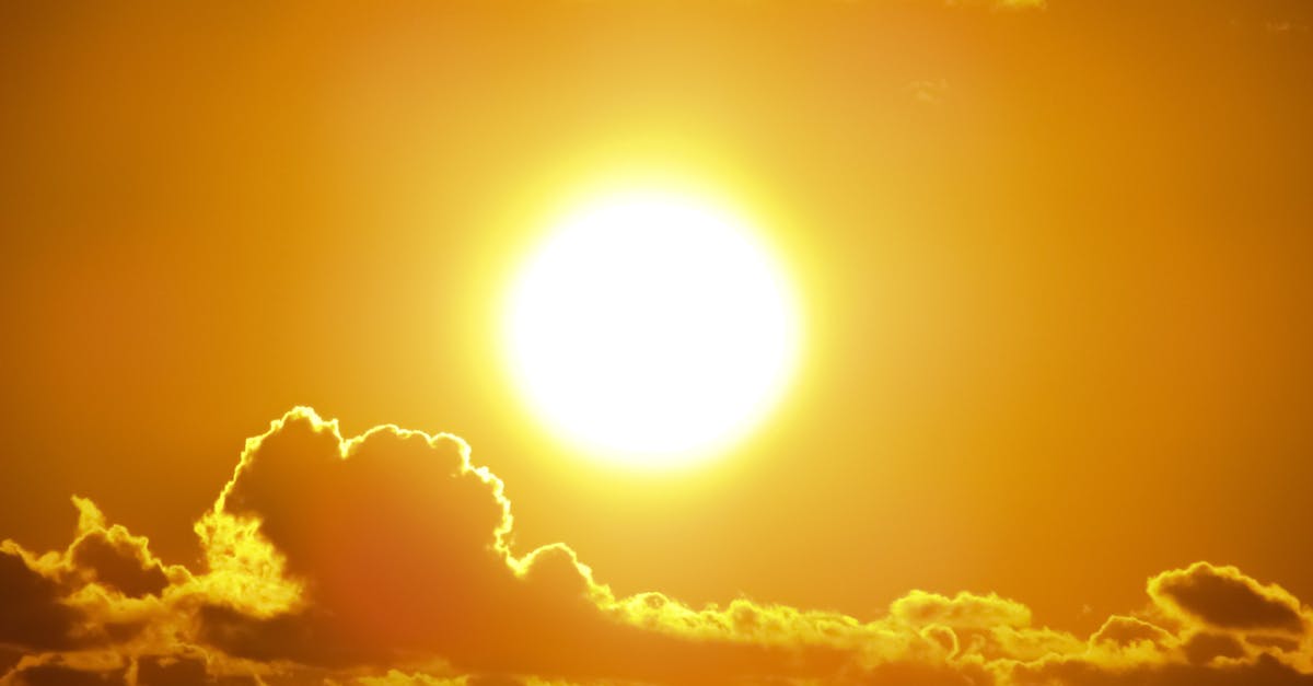 d&eacute;couvrez les causes et les cons&eacute;quences du d&eacute;clin des for&ecirc;ts, ainsi que les solutions pour pr&eacute;server ces &eacute;cosyst&egrave;mes essentiels &agrave; la biodiversit&eacute; et au climat.