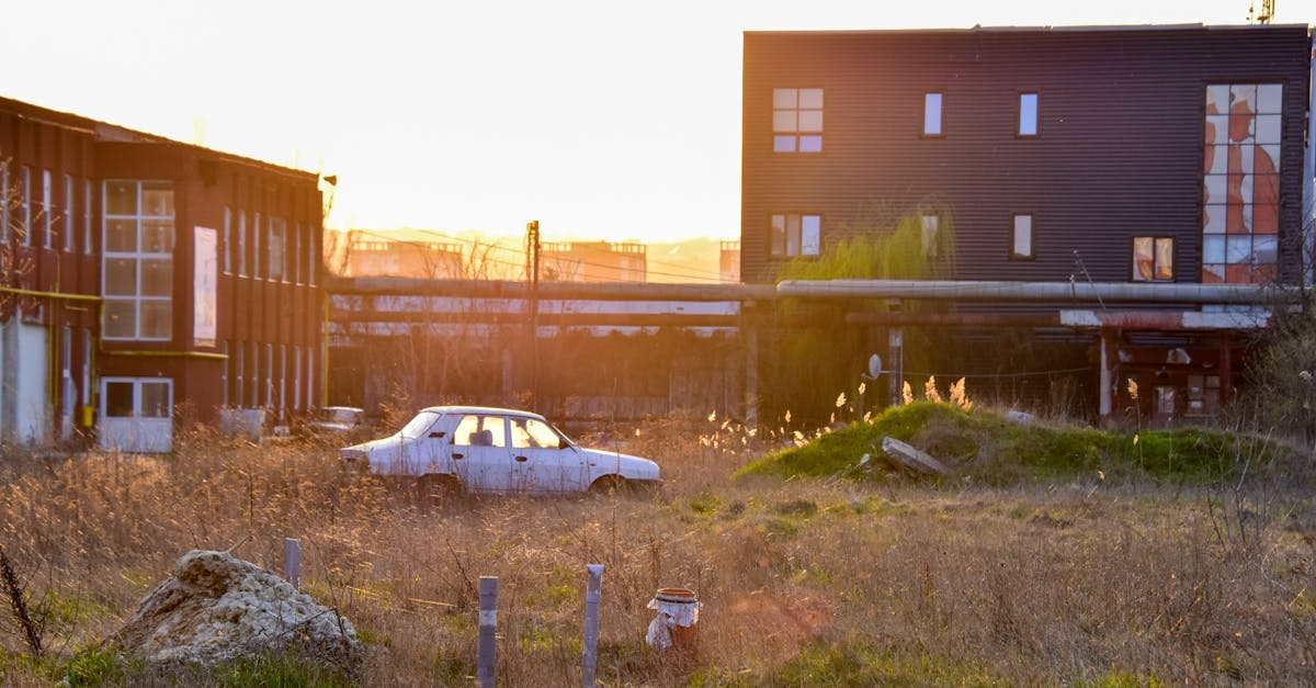 d&eacute;couvrez les causes, les cons&eacute;quences et les solutions face au d&eacute;clin des for&ecirc;ts, un enjeu crucial pour la biodiversit&eacute; et le climat.