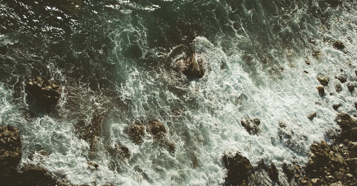 d&eacute;couvrez les causes, les impacts et les solutions face aux mar&eacute;es vertes, un ph&eacute;nom&egrave;ne environnemental li&eacute; &agrave; la prolif&eacute;ration excessive d'algues.