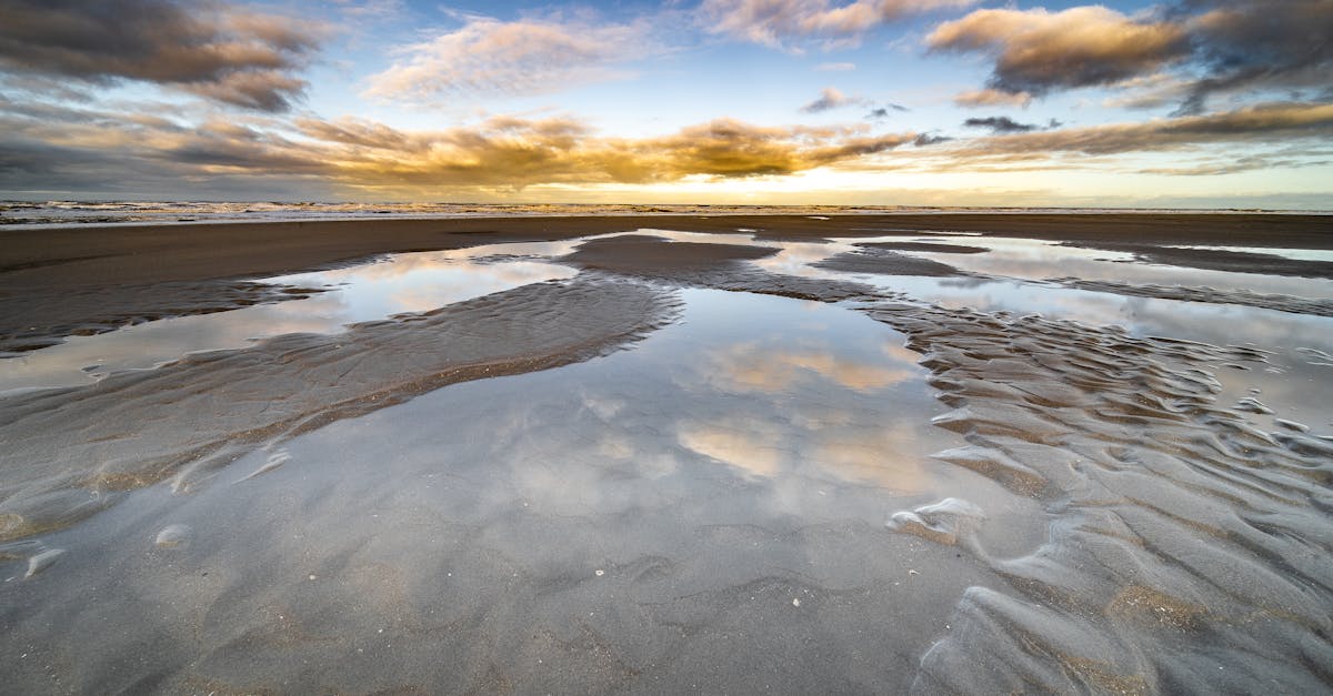 d&eacute;couvrez tout sur la mar&eacute;e verte : causes, impacts environnementaux et solutions pour lutter contre ce ph&eacute;nom&egrave;ne &eacute;cologique.