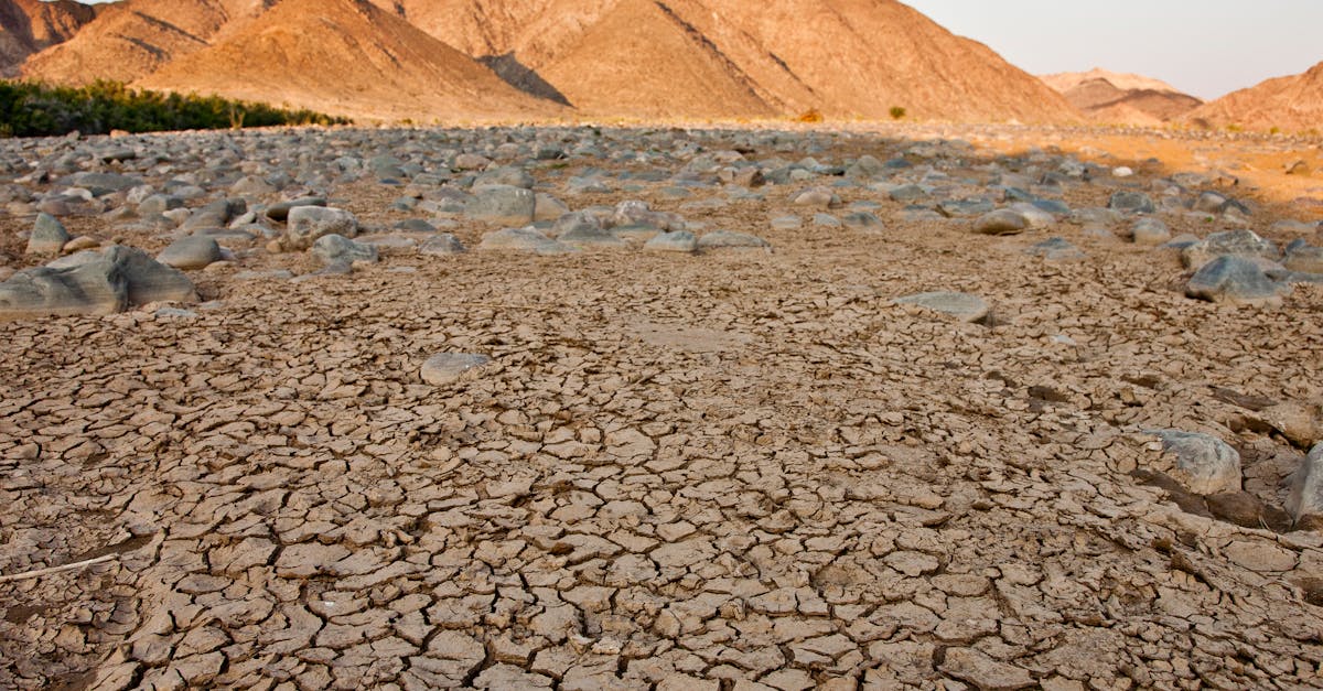 d&eacute;couvrez l'impact du changement climatique sur les zones montagneuses et les enjeux environnementaux li&eacute;s &agrave; l'altitude.