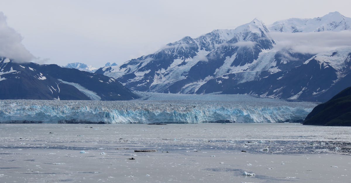 d&eacute;couvrez l'impact du changement climatique sur les r&eacute;gions montagneuses et les mesures pour pr&eacute;server ces &eacute;cosyst&egrave;mes fragiles.