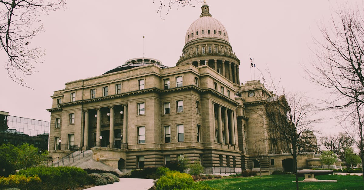 d&eacute;couvrez les informations essentielles sur les municipalit&eacute;s, leur organisation, leurs services et leur r&ocirc;le dans la vie locale.