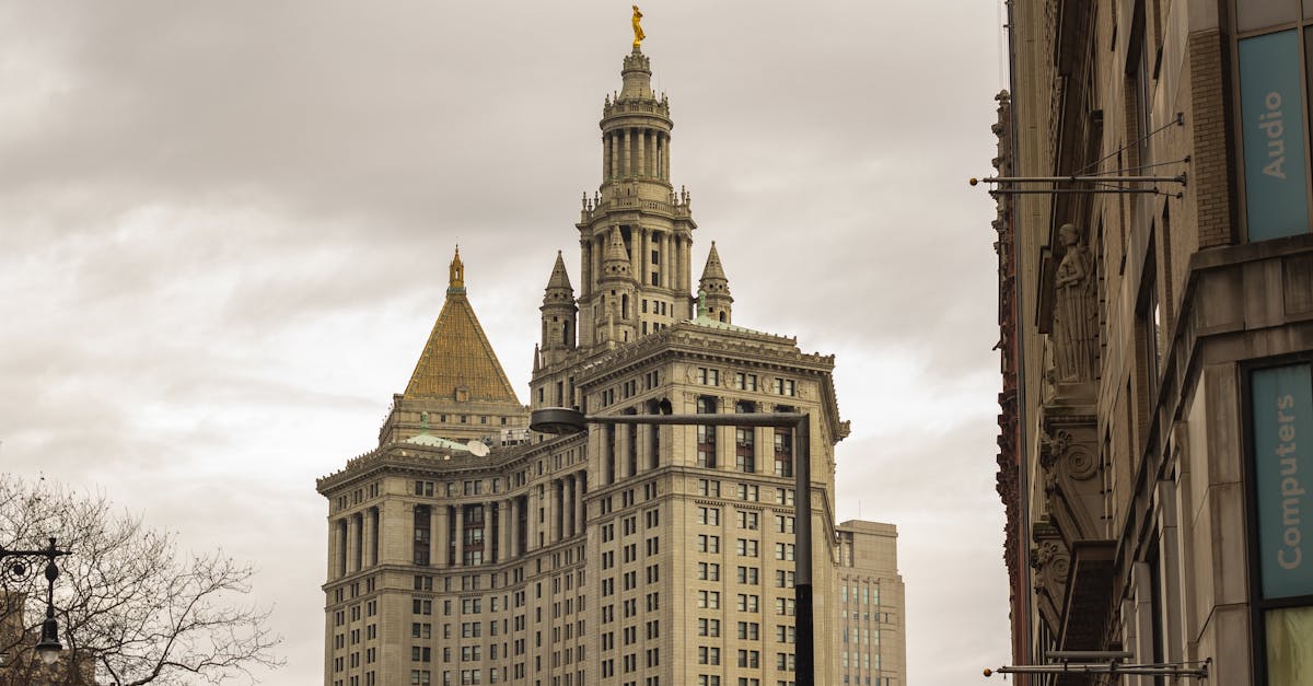 d&eacute;couvrez les informations essentielles sur les municipalit&eacute;s : administration locale, services, et vie communautaire.