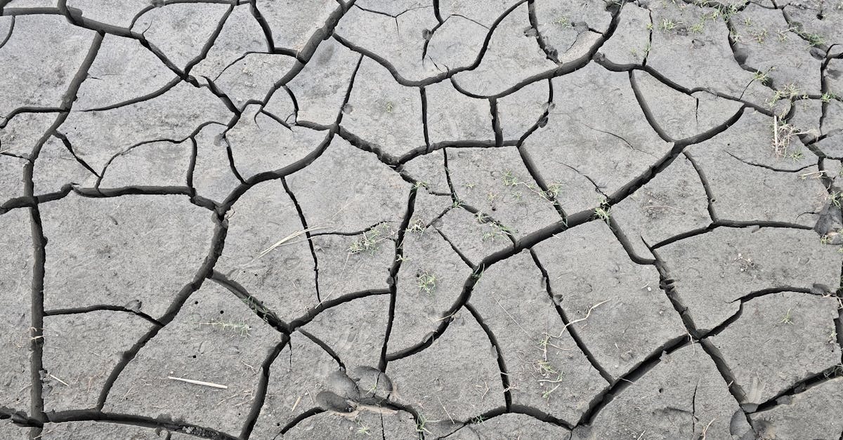 la d&eacute;gradation des sols : comprendre ses causes, ses impacts sur l'environnement et les solutions pour pr&eacute;server la qualit&eacute; des terres agricoles.