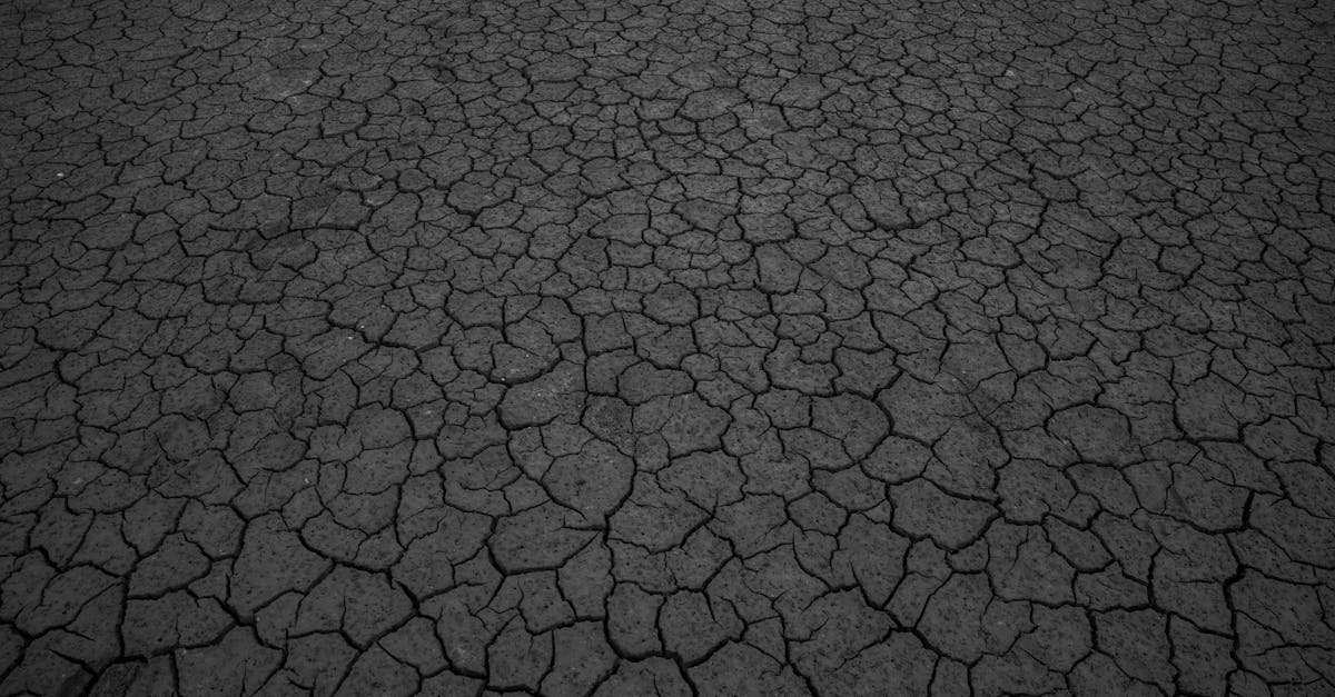 d&eacute;couvrez les causes, impacts et solutions pour lutter contre la d&eacute;gradation des sols et pr&eacute;server la fertilit&eacute; de la terre.