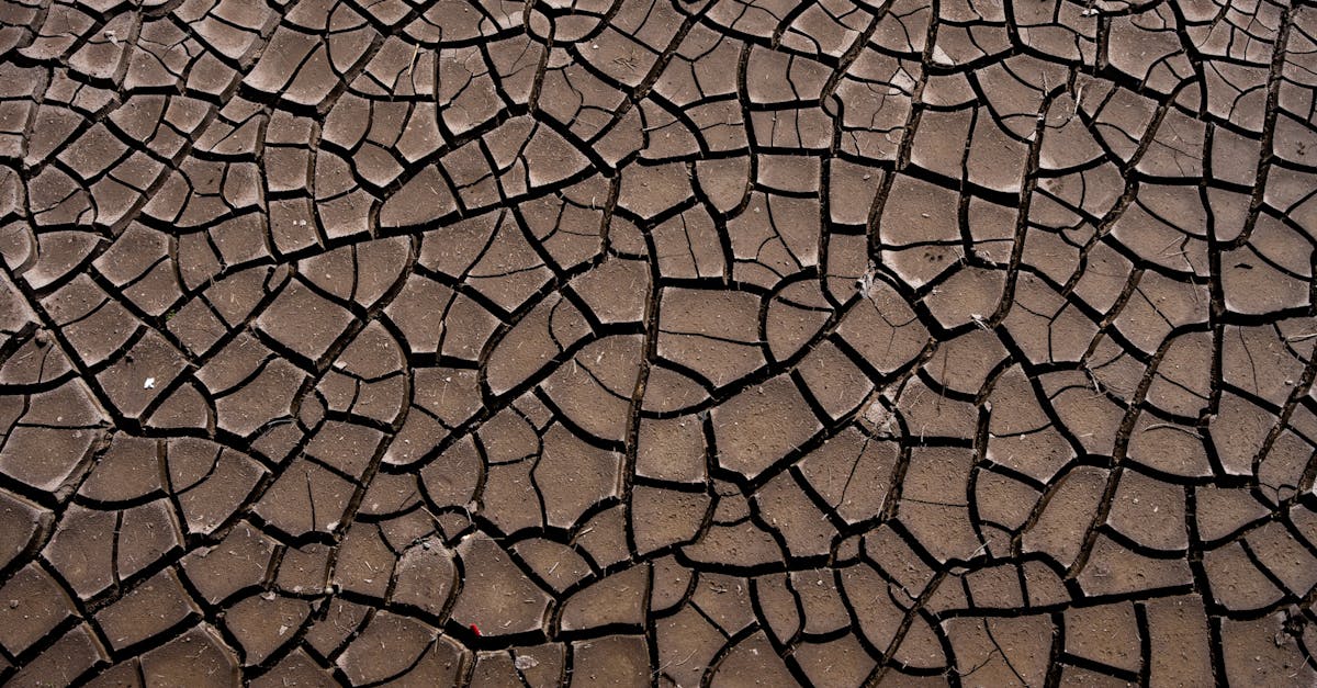 la d&eacute;gradation des sols : causes, cons&eacute;quences et solutions pour pr&eacute;server la fertilit&eacute; et la sant&eacute; des terres agricoles.