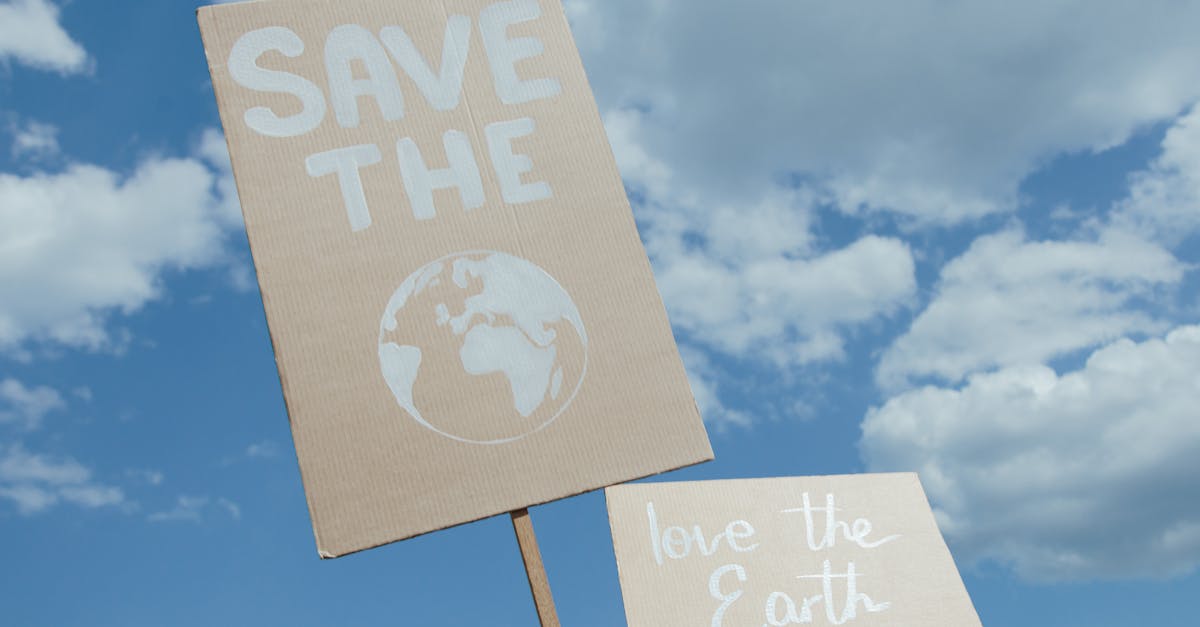 d&eacute;couvrez nos initiatives et conseils pour adopter des pratiques durables et prot&eacute;ger l'environnement pour un avenir responsable.